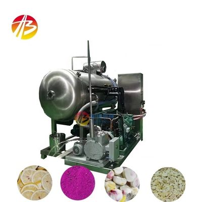 10 kg ανά παρτίδα Ηλεκτρική συσκευή στεγνώσεως με κενό για τη μεγάλη επεξεργασία φρούτων και λαχανικών
